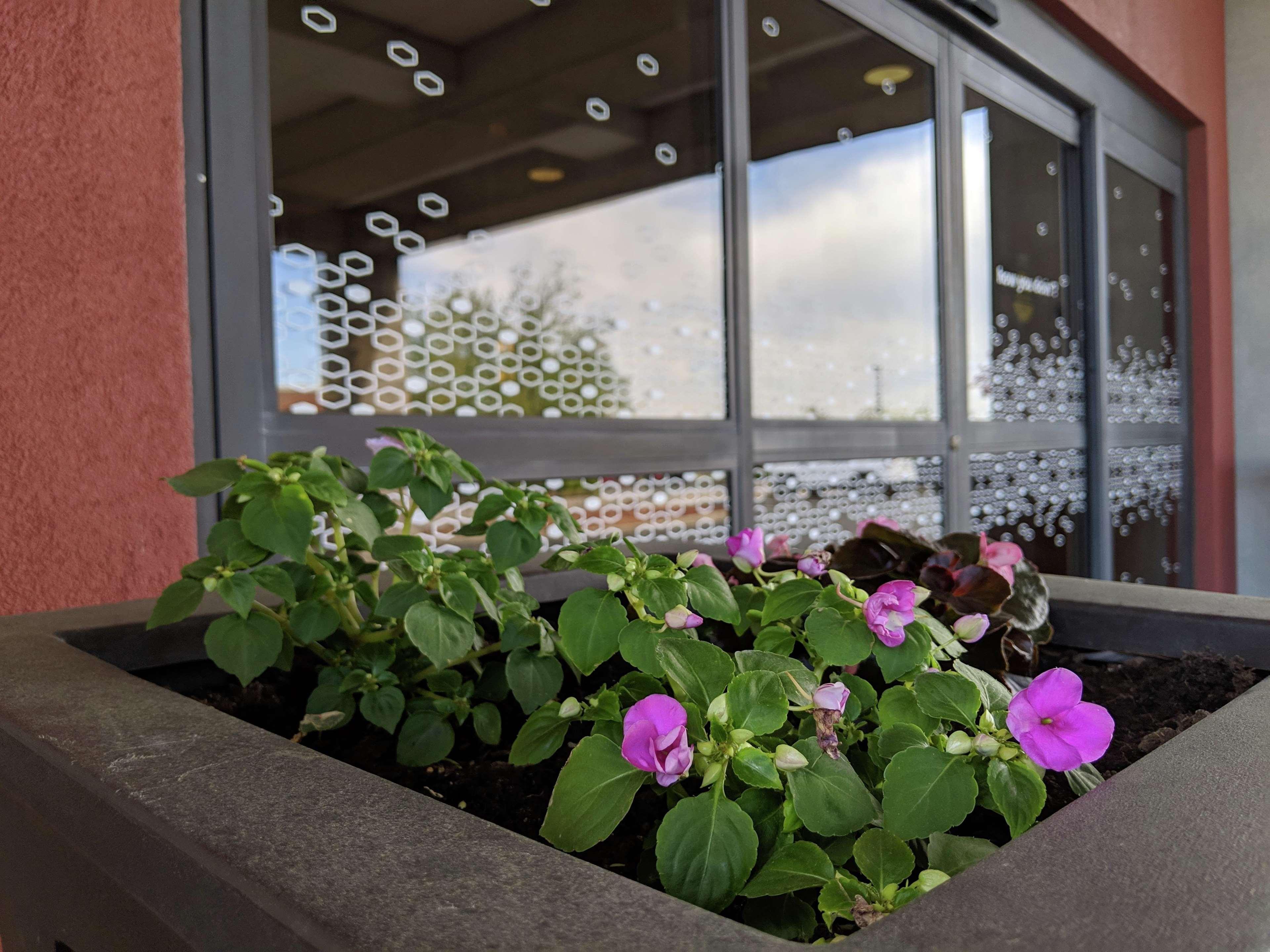 Hampton Inn & Suites Cincinnati-Union Centre West Chester Εξωτερικό φωτογραφία
